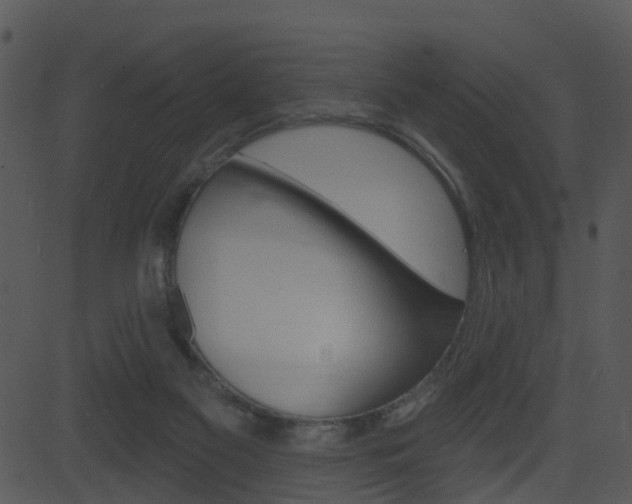 X0000081580117200701151010