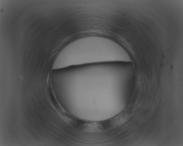 X0000081580118200701151010