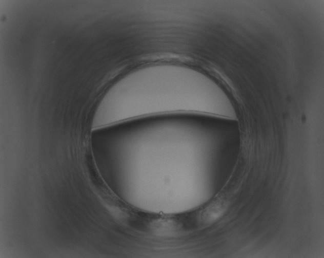 X0000081580119200701151010