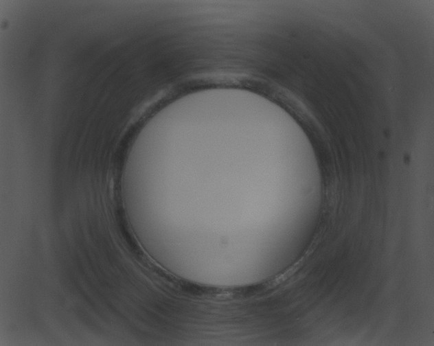 X0000081580120200701151010