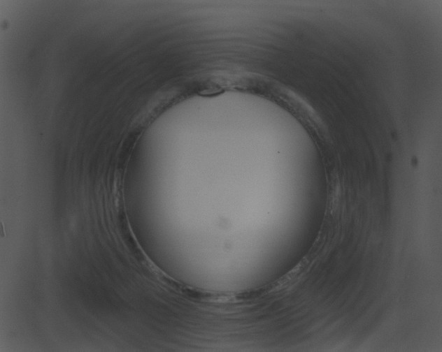 X0000081580121200701151010