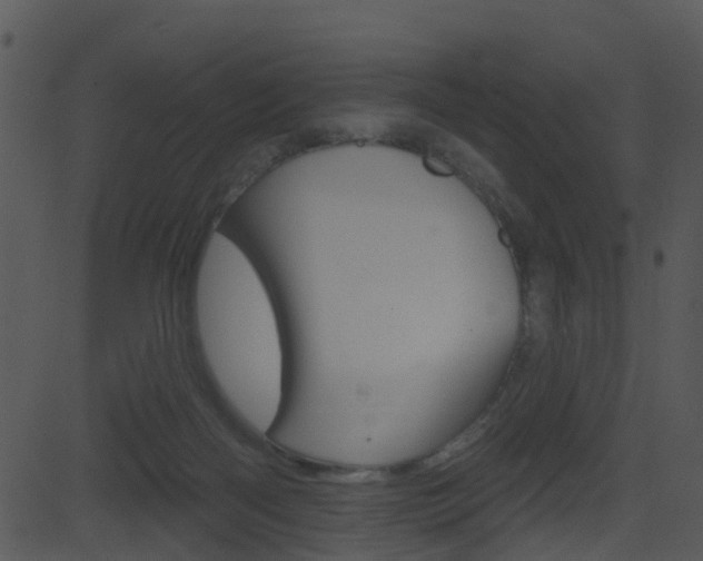 X0000081580122200701151010