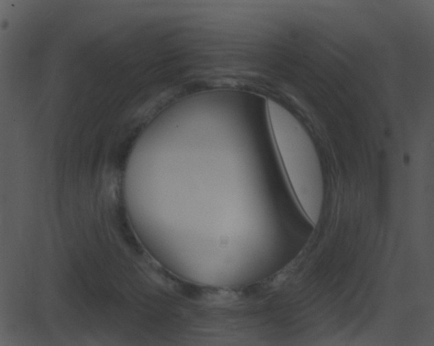 X0000081580125200701151010