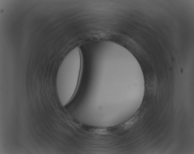 X0000081580132200701151010