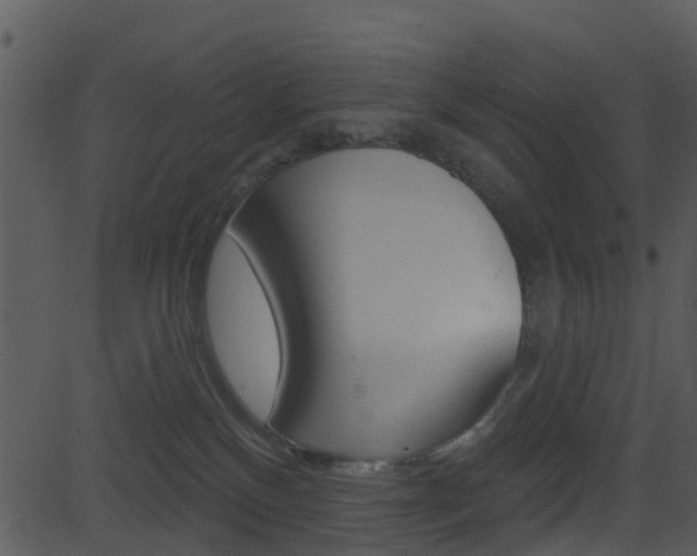 X0000081580136200701151010