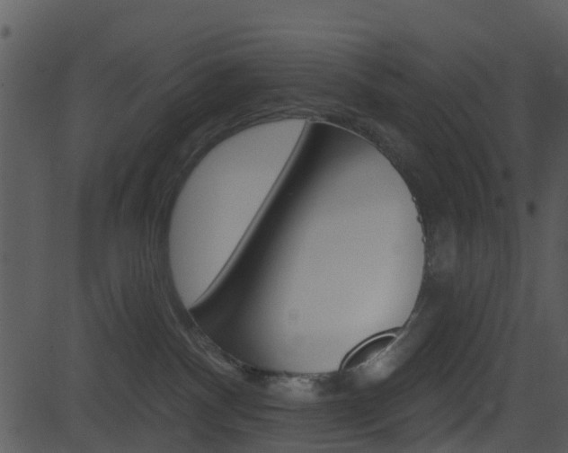 X0000081580140200701151010