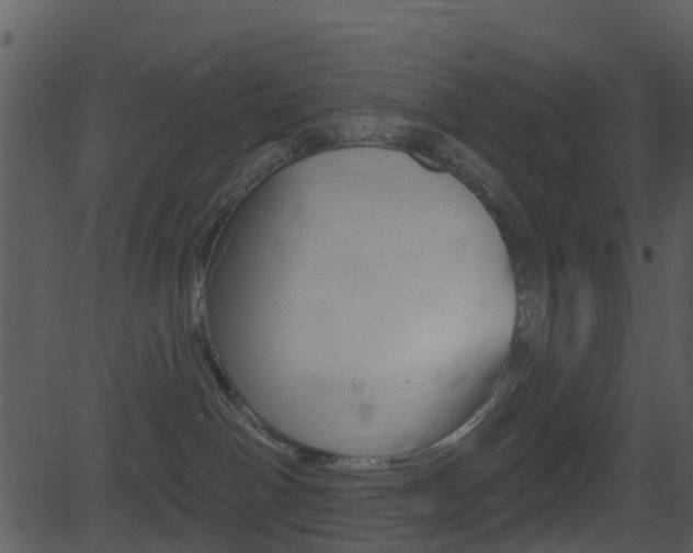 X0000081580142200701151010