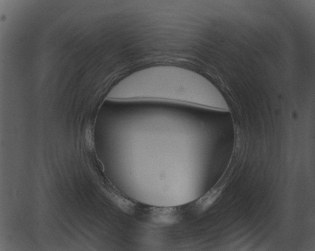 X0000081580143200701151010