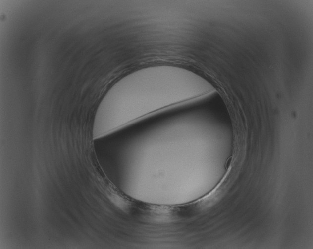 X0000081580144200701151010