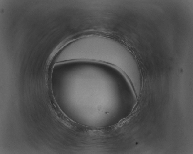 X0000081580150200701151009