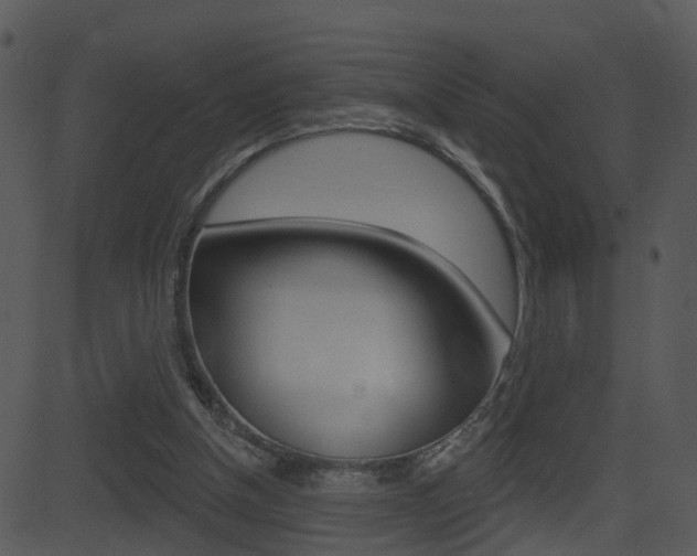 X0000081580154200701151009