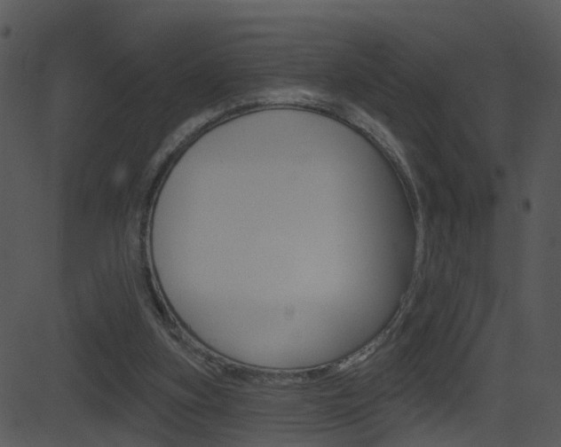 X0000081580155200701151009