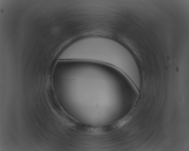 X0000081580164200701151009