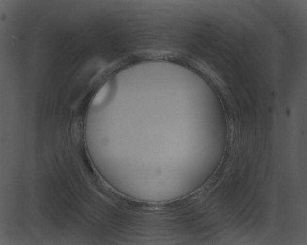 X0000081580165200701151009