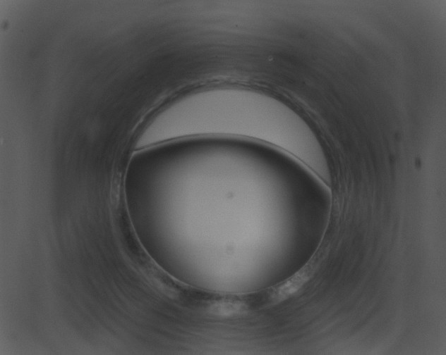 X0000081580168200701151010
