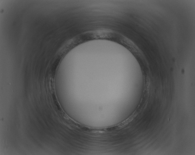 X0000081580169200701151010
