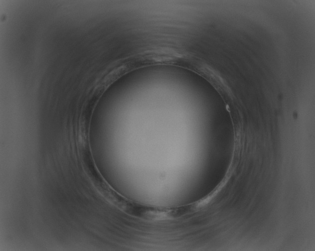 X0000081580170200701151010