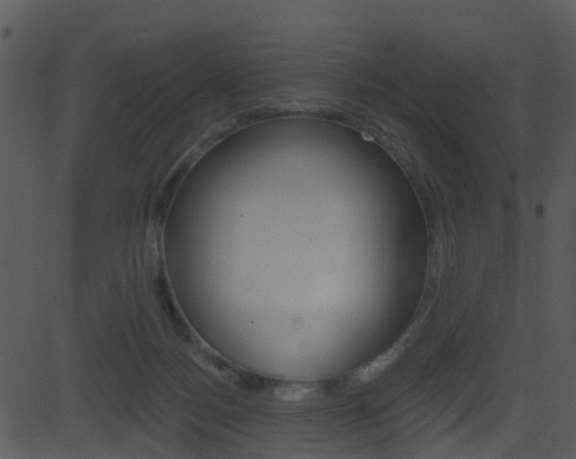 X0000081580172200701151010
