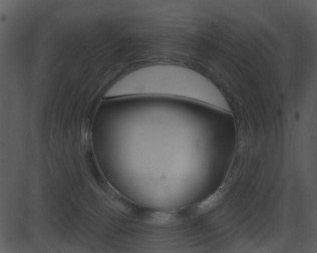X0000081580176200701151010