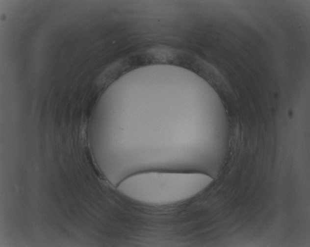 X0000081580177200701151010