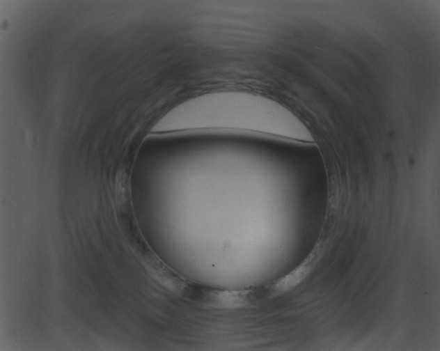 X0000081580184200701151010