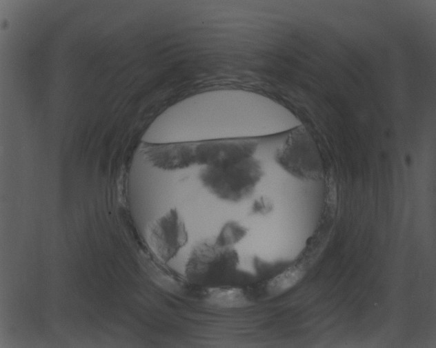 X0000081580185200701151010