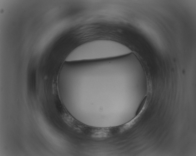 X0000081580191200701151010