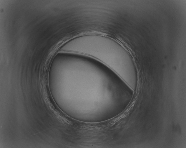X0000081580193200701151009