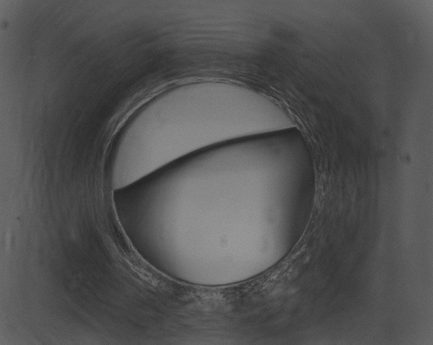 X0000081580194200701151009