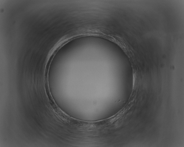 X0000081580195200701151009