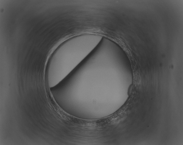 X0000081580196200701151009