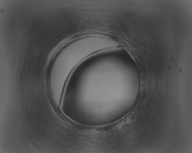X0000081580197200701151009
