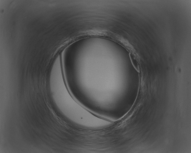 X0000081580201200701151009