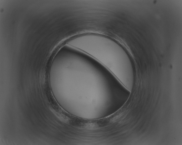 X0000081580204200701151009