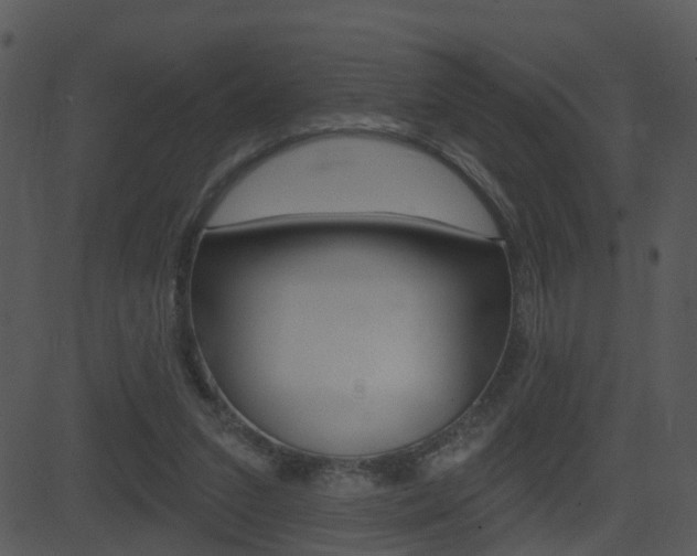 X0000081580207200701151009