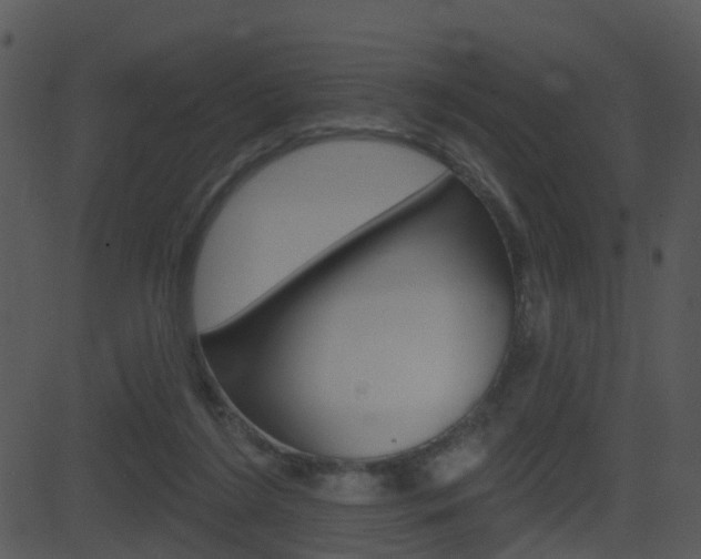 X0000081580212200701151009