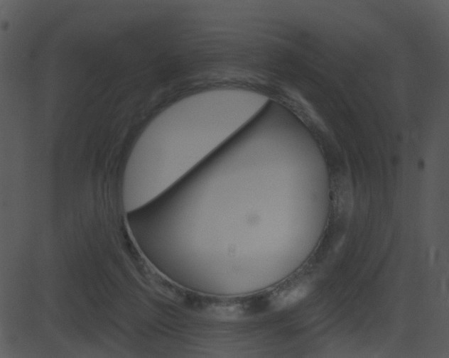 X0000081580213200701151009
