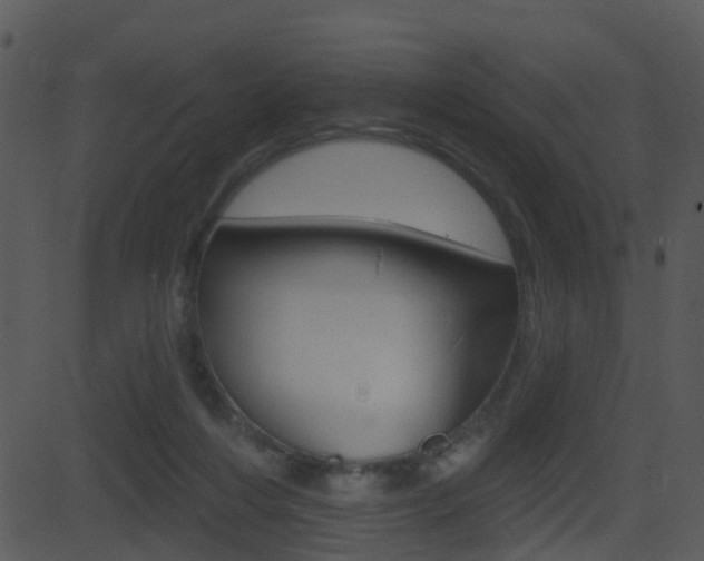 X0000081580216200701151009