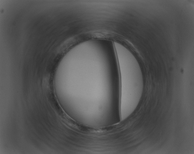 X0000081580217200701151009