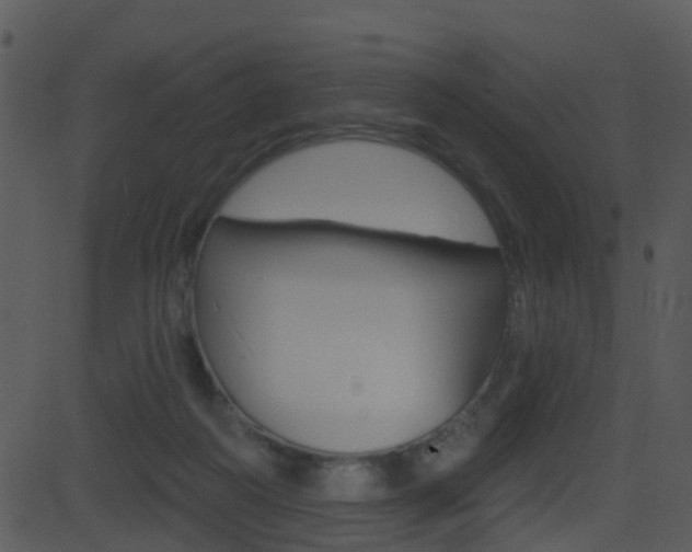 X0000081580218200701151009