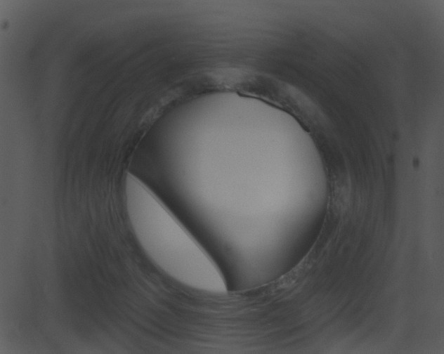X0000081580221200701151009