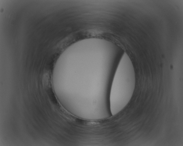 X0000081580222200701151009