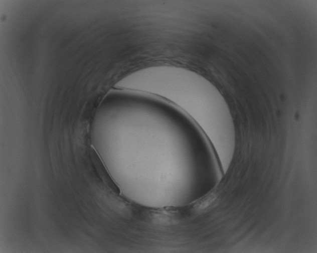 X0000081580229200701151009