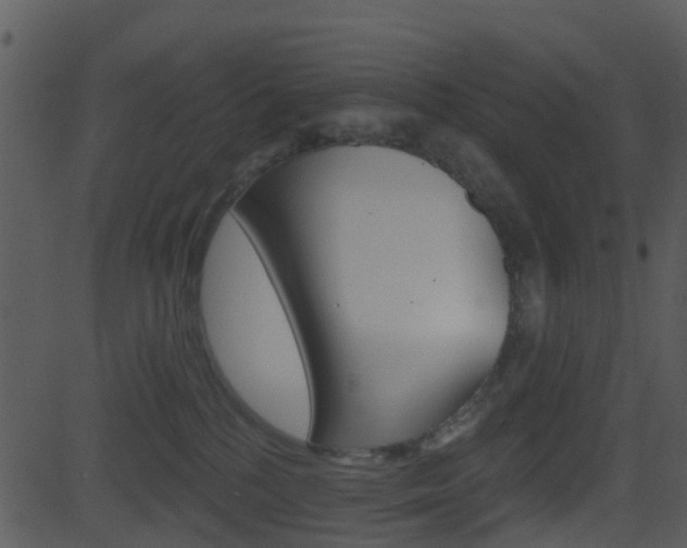 X0000081580232200701151008