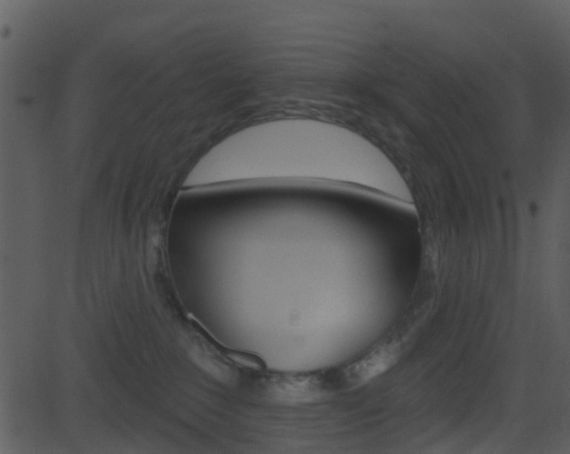X0000081580235200701151008