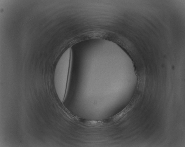 X0000081580239200701151008