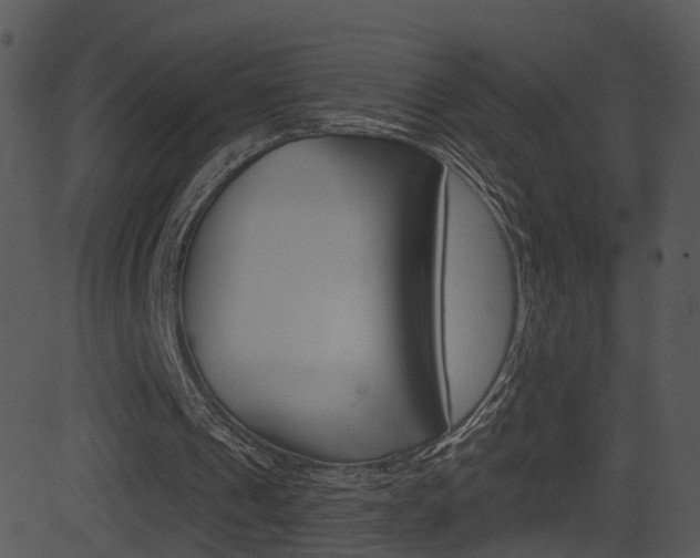 X0000081580241200701151008