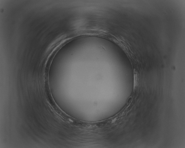 X0000081580243200701151008