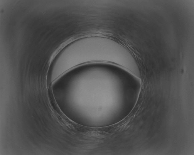X0000081580244200701151008