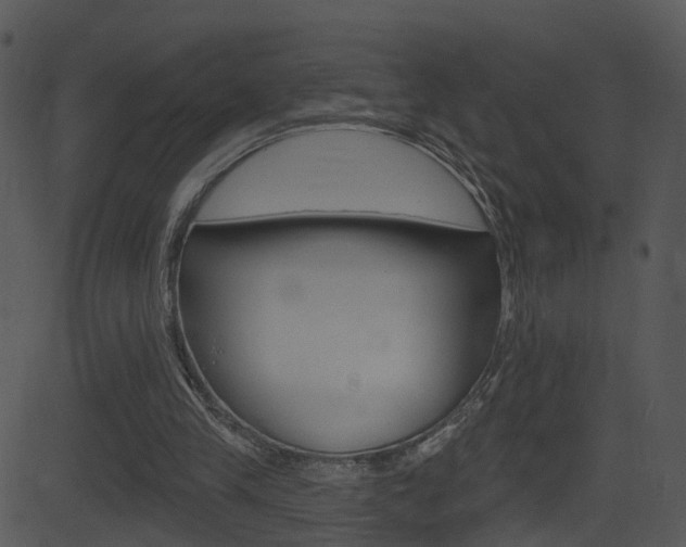 X0000081580245200701151008